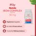 patanjali Nutrela Iron Complex 36mg | Energy Support Supplement | Plant-Based Multivitamin & Mineral Formula for Adults | 120 Vegetarian Capsules - Buy Online on GoSupps.com