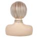 Baruisi Short Blonde Wig for White Women - Layered Synthetic Bob Wig with Side Part for Halloween Party Cosplay - Includes Wig Cap (Platinum Blonde) - Buy Online on GoSupps.com