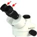 BoliOptics Microscope Eye Guards 34mm Rubber Eye Cups - Foldable (Pair) | SZ05013911 - Buy Online on GoSupps.com
