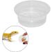 Yililay Gecko Food And Water Containers Reptile Feeder Bowls Gecko Transparent Feeder Bowls Reptile Feeding Plastic Dish Gecko Food Water Containers 100Pcs - Buy Online on GoSupps.com