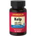 Kelp Iodine Supplement | 225mcg | 250 Tablets | Non-GMO Gluten Free | by Lindberg