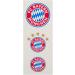 FC Bayern Munich Chocolate Bars - 15 Gourmet Chocolates + 3 Logo Stickers | Buy Internationally - Buy Online on GoSupps.com