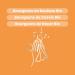 Santarome Bio - All rus Bio | Compl ment Alimentaire Allergies | Pollens Gramin es & Rhume des Foins - Tri-Complexe de bourgeons - Bouleau Cassis Noyer | Flacon Pipette 30 ml| Made In France |V gan All rus Bio - Confort respiratoire saisonnier - Gemmoth r - Buy Online on GoSupps.com