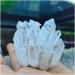 Health & Household Natural Rare White Quartz Crystal Cluster (Size : 400-500g) - Buy Online on GoSupps.com