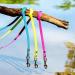 15m Neon Yellow Dog Leash - Extra Narrow Dirt & Water Repellent Towline for Small Dogs - Buy Online on GoSupps.com