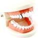 Shop Silver Single Teeth Hip Hop Grill - Perfect Costume Party Jewelry Accessory - Buy Online on GoSupps.com