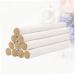 Buy Gleavi 10 ST Moxibustion Columns - Premium Moxa Holder & Cleaner for Acupuncture Treatment | International Shipping Available - Buy Online on GoSupps.com