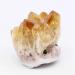 1pc 4cm-6cm Natural Mini Sized Citrine Hedgehog Crystal Stone Gift for Decoration Suitable for Home Crystals Stone Mineral Specimen - Buy Online on GoSupps.com
