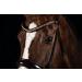 BRIDLERY Golden Glamour Curved Browband - Changeable Brown Thoroughbred Accessory with Large Glitter Stones - Buy Online on GoSupps.com