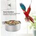 Stainless Steel Parrot Feeder | Hanging Food Bowl for Bird Cage | Raised Feeding Station with Drinking Cup (L) - Buy Online on GoSupps.com