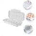 OFFSCH 2pcs Anti-Collision Damage Chicken Container with Lid Refrigerator Egg Organizer Egg Bins re-usable Grey 30X11X6.5CM - Buy Online on GoSupps.com