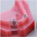 Fhuili Teeth Model for Education | Dental Implant Repair & Communication | Red Dentition Simulation Tool - Buy Online on GoSupps.com