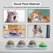 Starroad-Tim Catmil Wall Ball Cat Mint Toys | Edible Rotating Catnip Balls for Dental Health | Natural Cat Treats - Buy Online on GoSupps.com