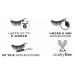 Eylure Pro Dylash Lash Black - Professional Quality Eyelash Dye - Buy Online on GoSupps.com