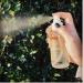 Pistach Skincare Pistachio Body Mist Fragrance + Sweet Scent 3.4 oz. - Buy Online on GoSupps.com