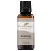 Plant Therapy Nutmeg Essential Oil 30 mL (1 oz) 100% Pure Undiluted Therapeutic Grade