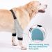 Dog Elbow Brace Pads for Canine Elbow and Shoulder Support Elbow Hygroma Dysplasia Elbow Calluses Osteoarthritis Pressure Sores and Shoulder Dislocation for Canine Elbow qzjijosen (S) - Buy Online on GoSupps.com