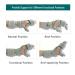 Finger Training Plate To Prevent Flexion Contracture And Deformity Finger Orthosis For Stroke Hemiplegia And Traumatic Brain Injury(Right) - Buy Online on GoSupps.com