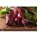 15.13g Organic Detroit Dark red Beet Tail - Buy Online on GoSupps.com