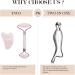 RISSING Crescent Line Gua Sha Facial Tool - Chin Lift & Manual Lymphatic Drainage for Cellulite Reduction & Skin Tightening - Buy Online on GoSupps.com