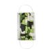 50 Pack Children's Disposable Face Shield 3-Ply Non-woven Cute Pattern Breathable Protective Face Cover I One Size