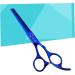 Ipetboom 1pc Stainless Steel Hair Cutting Hair Scissors Hair Cutting Tool Hair Thinning Shears Barber Shears Grooming Scissors Haircut Tool Professional Barber Clippers Pet Flat Cut - Buy Online on GoSupps.com