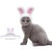 Shop Cute Adjustable Bunny Hats for Cats & Dogs - 3pcs Pet Headgear Party Costume - Buy Online on GoSupps.com