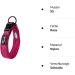 Buy PETTOM Adjustable Nylon Dog Collar - Breathable & Reflective XS Pink for Small Dogs - Buy Online on GoSupps.com