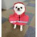 ocsoso Pet Rainy Days Slicker Brush Red Reflective Raincoat - XXL for Dogs | Waterproof & Stylish Pet Gear - Buy Online on GoSupps.com