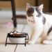 Y YHY Raised Ceramic Cat Food Bowls Set - 12 oz Elevated Pet Dishes with Stand for Cats and Small Dogs - Dishwasher Safe - Buy Online on GoSupps.com
