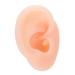 Chanmea multi-purpose simulation Artificial practical right ear human ear model soft teaching tube impress exercises for displaying hearing aid wearing