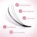 Buy Wispy Fan Lashes 0.07C | DIY Eyelash Extensions 9-16MM | Natural Look Individual False Eyelashes for At-Home Use - Buy Online on GoSupps.com