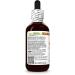 Hawaii Pharm Black Cumin Alcohol-Free Liquid Extract Black Cumin (Nigella Sativa) Seed Glycerite Natural Herbal Supplement 2 oz 2 Fl Oz (Pack of 1) - Buy Online on GoSupps.com