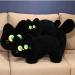 OUKEYI Cat Pillow Plush Black Cat Plush Toy Soft Plush Doll Kawaii Black Cat Stuffed Animals for Kids Birthday Girlfriend Valentines (15.7"/40cm) - Buy Online on GoSupps.com