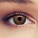 Buy Monthly Brown Contact Lenses - Natural Effect for Dark Eyes 1 Pair (2st) + Free Case -2.50 Strength - Buy Online on GoSupps.com