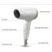 JYYBN Hair Dryer Trvavel Small Mini Blow Dryer with Nozzle 500W Long Life DC Motor Lightweight Compact Blow Dryer for Home and Salon - Buy Online on GoSupps.com