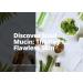 Revitalizing Snail Mucin Serum - 97.5% Pure with Vitamin C & E for Maximum Hydration | Shop Internationally - Buy Online on GoSupps.com