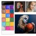 JACHOYI 20 Colors Face Body Paint Kit - Professional Cosplay & Halloween Makeup with Brushes | Perfect for Parties & Arts - Buy Online on GoSupps.com