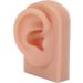 Silicone Right Human Ear Model for Jewelry Display and Piercing Practice - Dark Skin - Buy Online on GoSupps.com