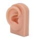Comfortable silicone-human ear model right ear model false ear soft to see headphone acupuncture training