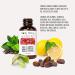 Body Merry Age Defense Super 6 Serum - Anti-Aging Vitamin C Treatment with Retinol and Niacinamide - 1 fl oz - Buy Online on GoSupps.com