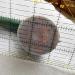 YICBOR DIY Sewing Tools Ruler Handle - Quilting Patchwork Ruler Green - Strong Adsorption - Buy Online on GoSupps.com