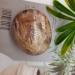 Specimen Natural Wood Palm Stone Crystal MeditationEnergy Home Decoration Collection As GiftStone Full of Texture - Buy Online on GoSupps.com