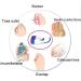 Buy LTLCLZ Toe Separator for Hallux Valgus - 2 Pack Bunion Corrector & Toe Correction Finger Separator - Buy Online on GoSupps.com