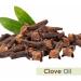 Clove Oil (Syzygium aromaticum) 100% Pure & Natural Undiluted Uncut Essential Premium Aromatherapy Oil - 100ml Clove 100 ml - Buy Online on GoSupps.com