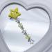 hgnxa Star Fringe Pendent Hair Clip Hairpin with Pentastar Decoration Colorful Hair Barrette for Girls Style Ornaments Yellow - Buy Online on GoSupps.com