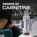 Carnitine supplement preworkout formula for optimal absorption energy and muscle support1pcs - Buy Online on GoSupps.com