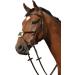 Collegiate Syntovia+ Padded Raised Grackle Bridle in Black for Pony - Premium Equestrian Gear | International Shipping Available - Buy Online on GoSupps.com