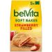 Breakfast Biscuit Bundle with Belvita Soft Filled Chocolate Hazelnut Breakfast Biscuits 250g and Soft Filled Strawberry 250g (2 Pack) - Buy Online on GoSupps.com