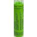 Candida Albicans 200K Homeopathy Medicine Schmidt-Nagel Canada (Homeodel) 90 pellets/granules - Buy Online on GoSupps.com